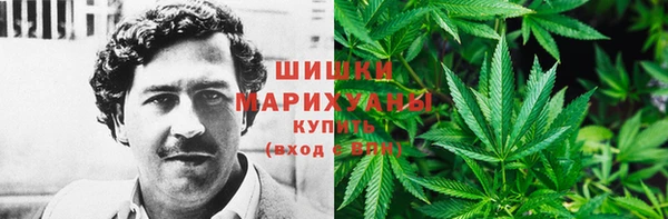 мет Арсеньев