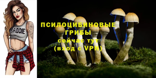 прущий лед Армянск