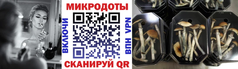 Псилоцибиновые грибы MAGIC MUSHROOMS  Жирновск 